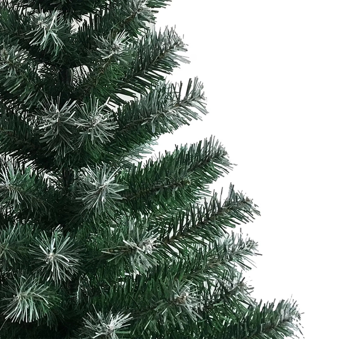Light green tree with white frosted tips