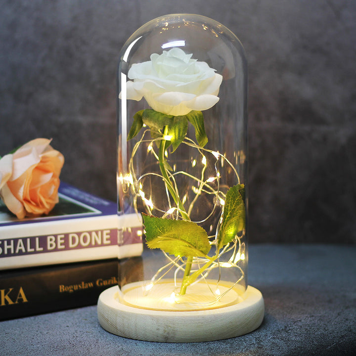 Enchanted rose in a glass dome with LED lights