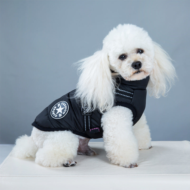Dog wearing a waterproof padded coat