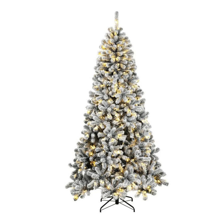 Tall flocked Northern pine with lights