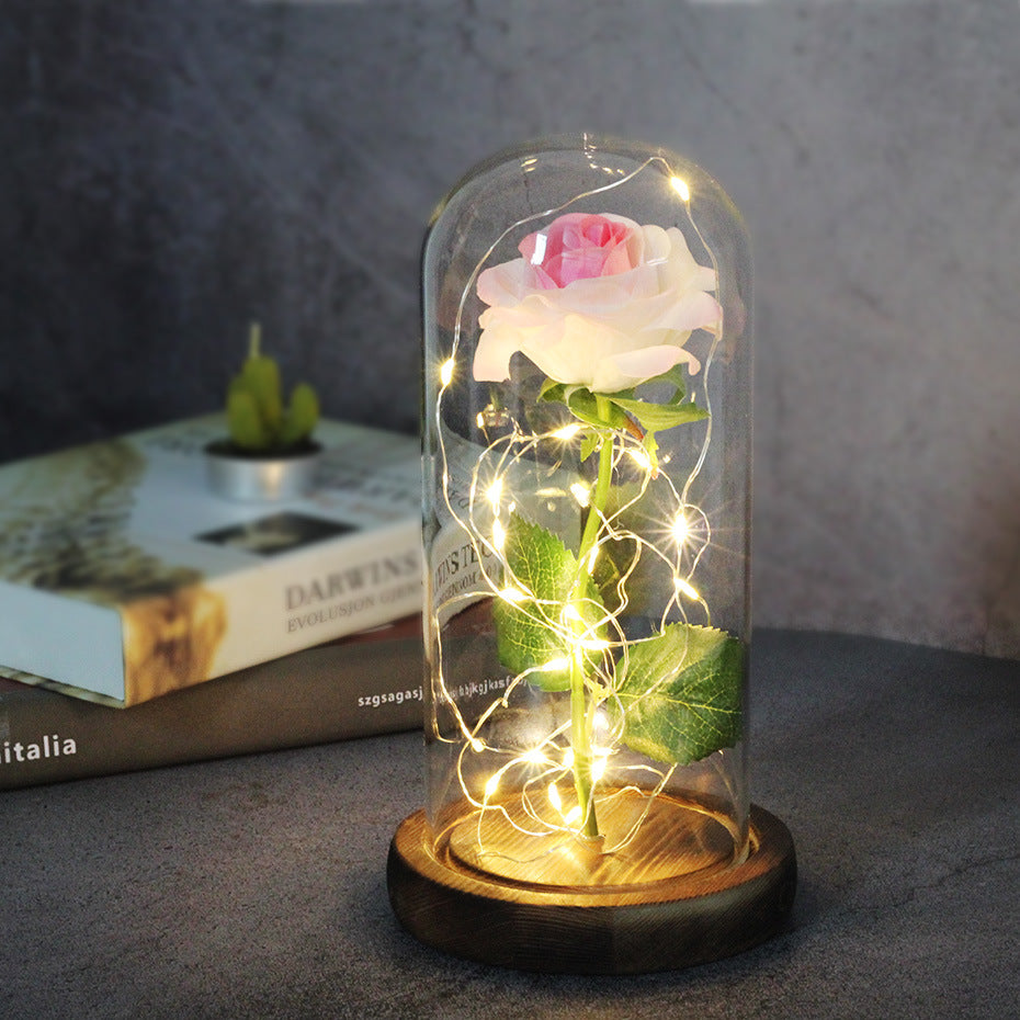 Enchanted rose in a glass dome with LED lights