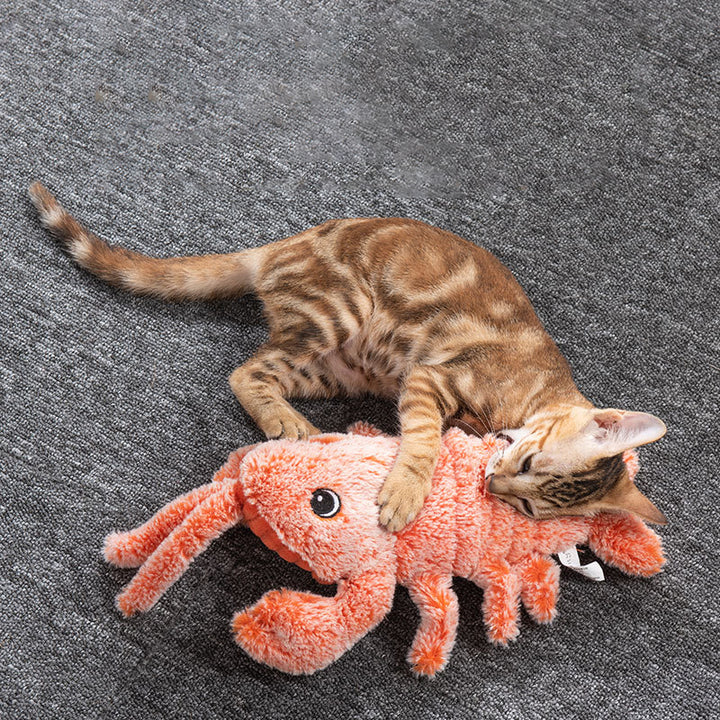 Orange plush lobster cat toy