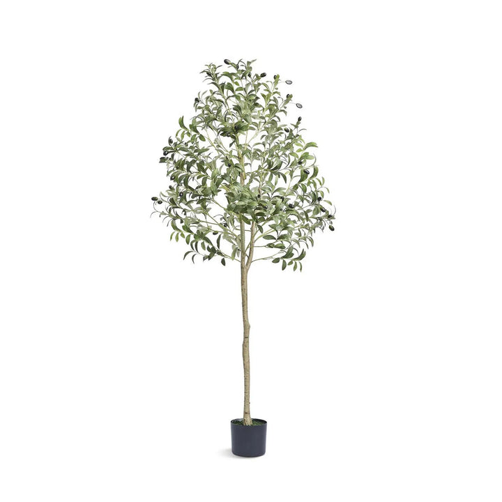 Tall artificial olive tree in black pot