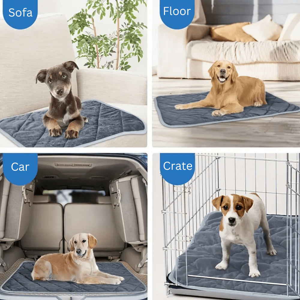 Warmfell™ Self-Warming Dog Pad with Non-Slip Base, Washable