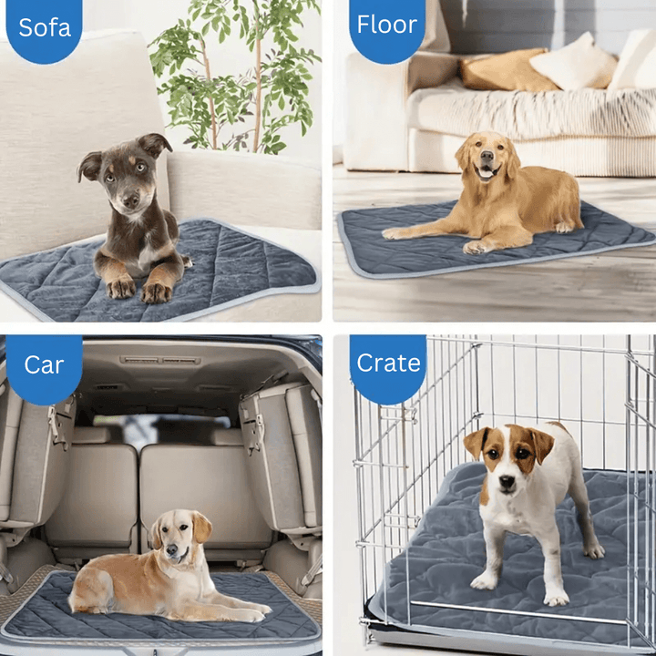 Warmfell™ Self-Warming Dog Pad with Non-Slip Base, Washable