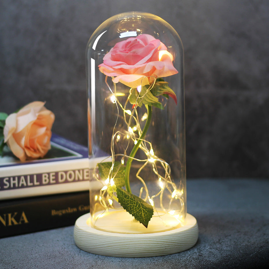 Enchanted rose in a glass dome with LED lights
