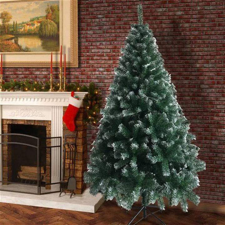 Light green tree with frosted white tips