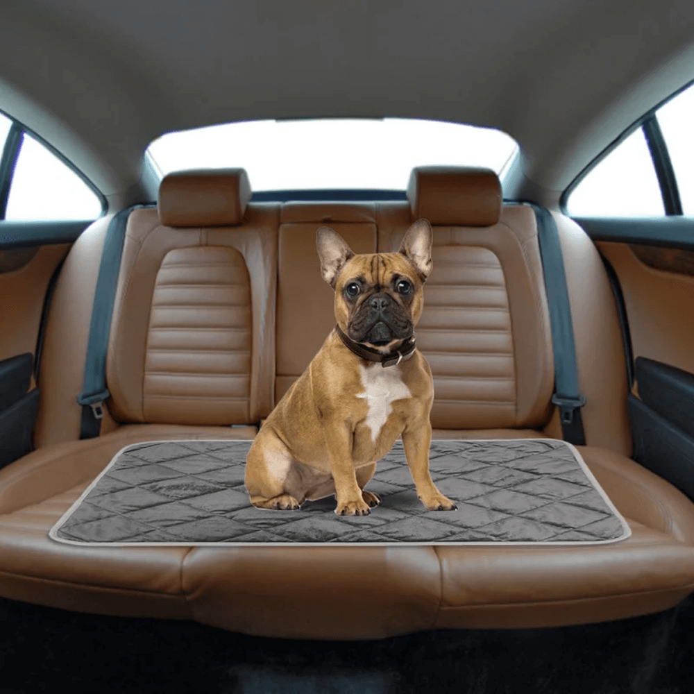 Warmfell™ Self-Warming Dog Pad with Non-Slip Base, Washable