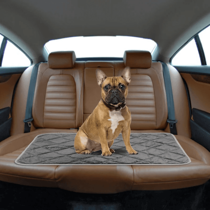 Warmfell™ Self-Warming Dog Pad with Non-Slip Base, Washable
