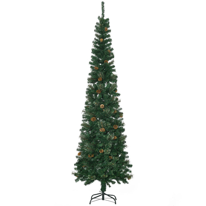 Tall slim tree with pine cones