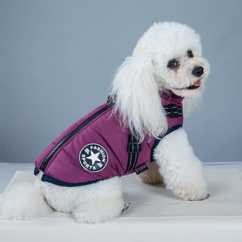 Dog wearing a waterproof padded coat
