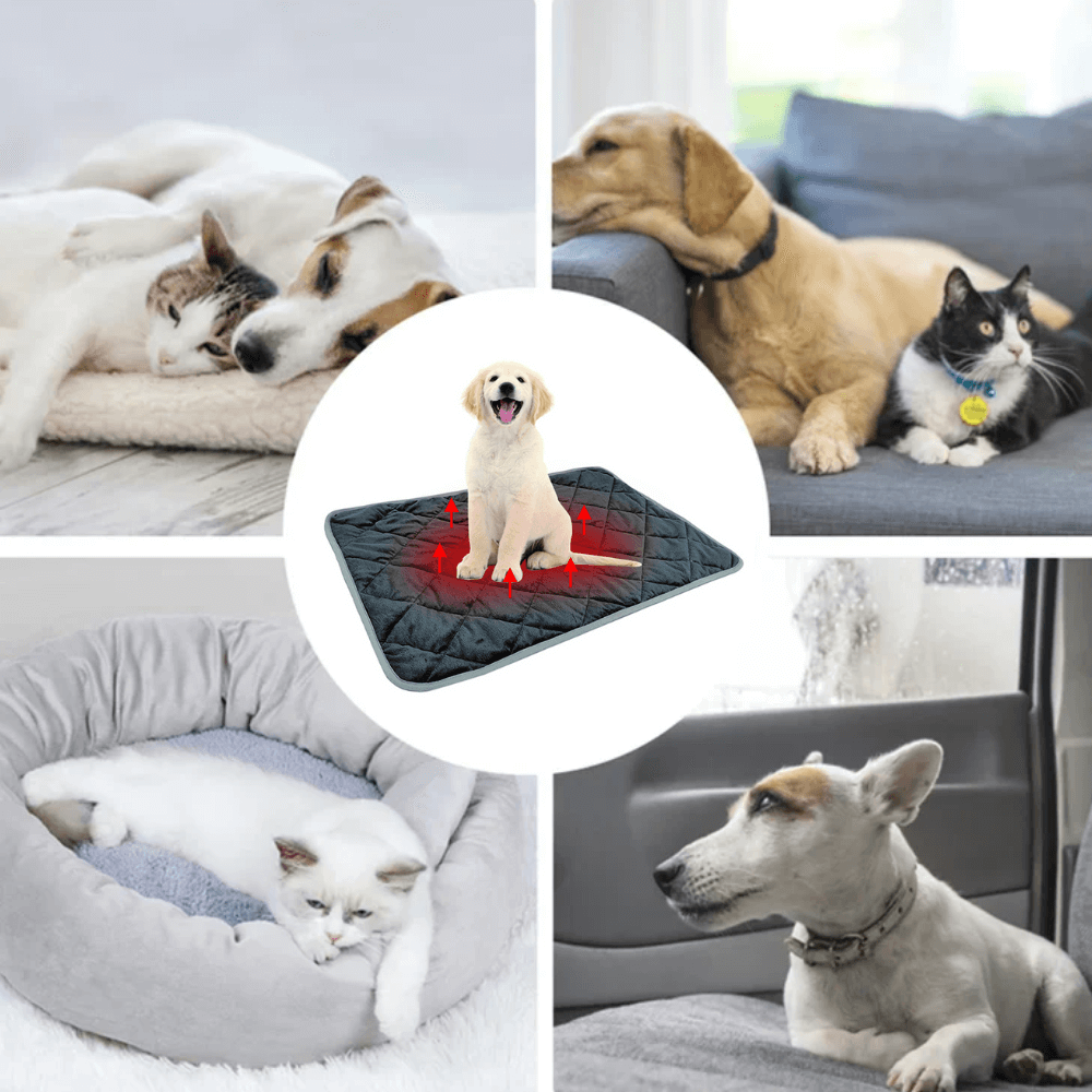Warmfell™ Self-Warming Dog Pad with Non-Slip Base, Washable