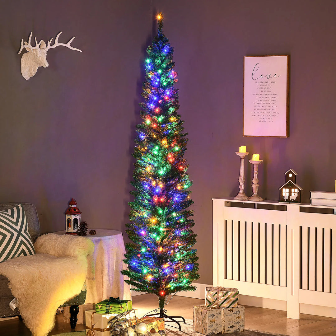 Slim green tree with multicolour lights
