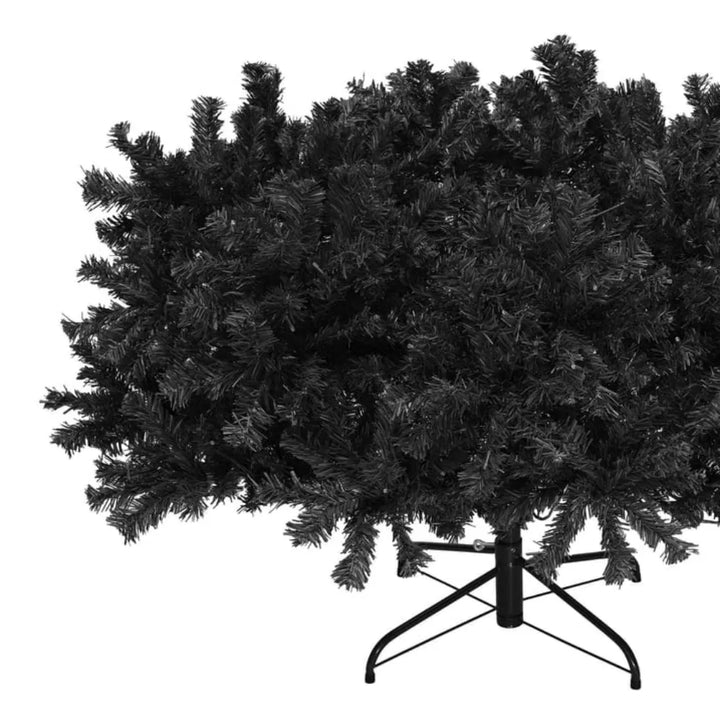 Full black spruce Christmas tree, unlit