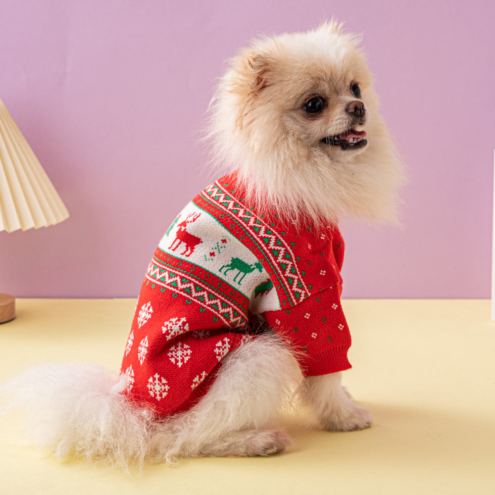 Small dog in knitted Christmas jumper
