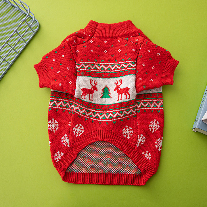 Small dog in knitted Christmas jumper