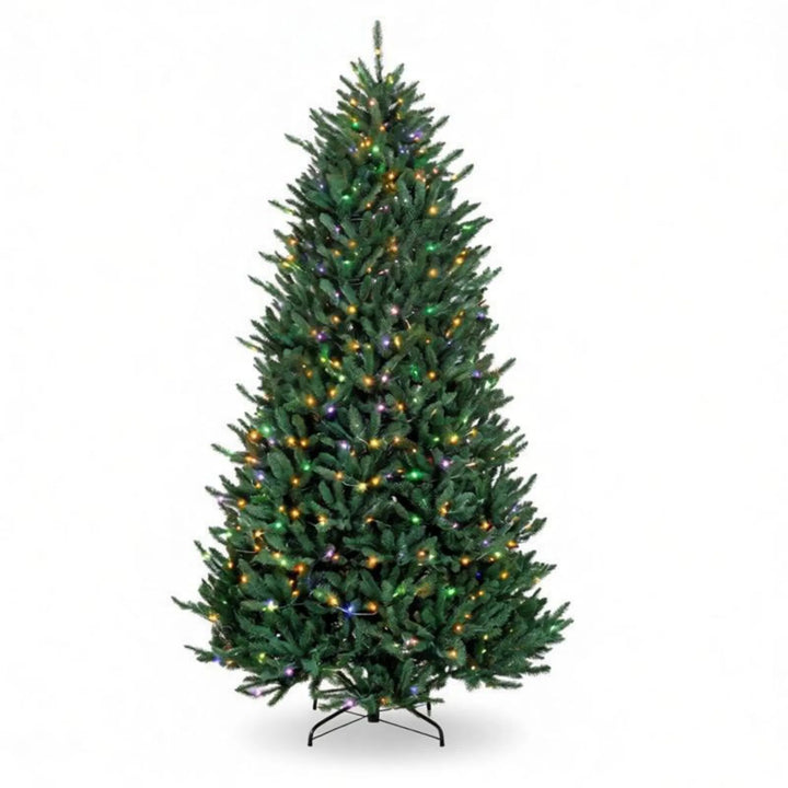 Large full Christmas tree lit warm white